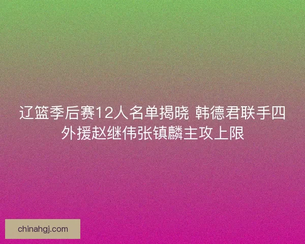 辽篮季后赛12人名单揭晓 韩德君联手四外援赵继伟张镇麟主攻上限